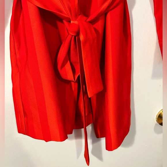 Dynamite Lapels Striped Jacket in Red (Brand New With No Tags) - Picture 4 of 11